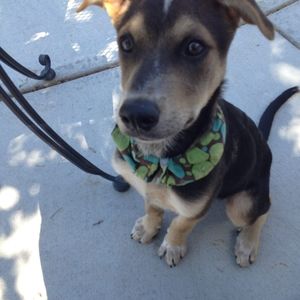 Meet your Posher, Alex